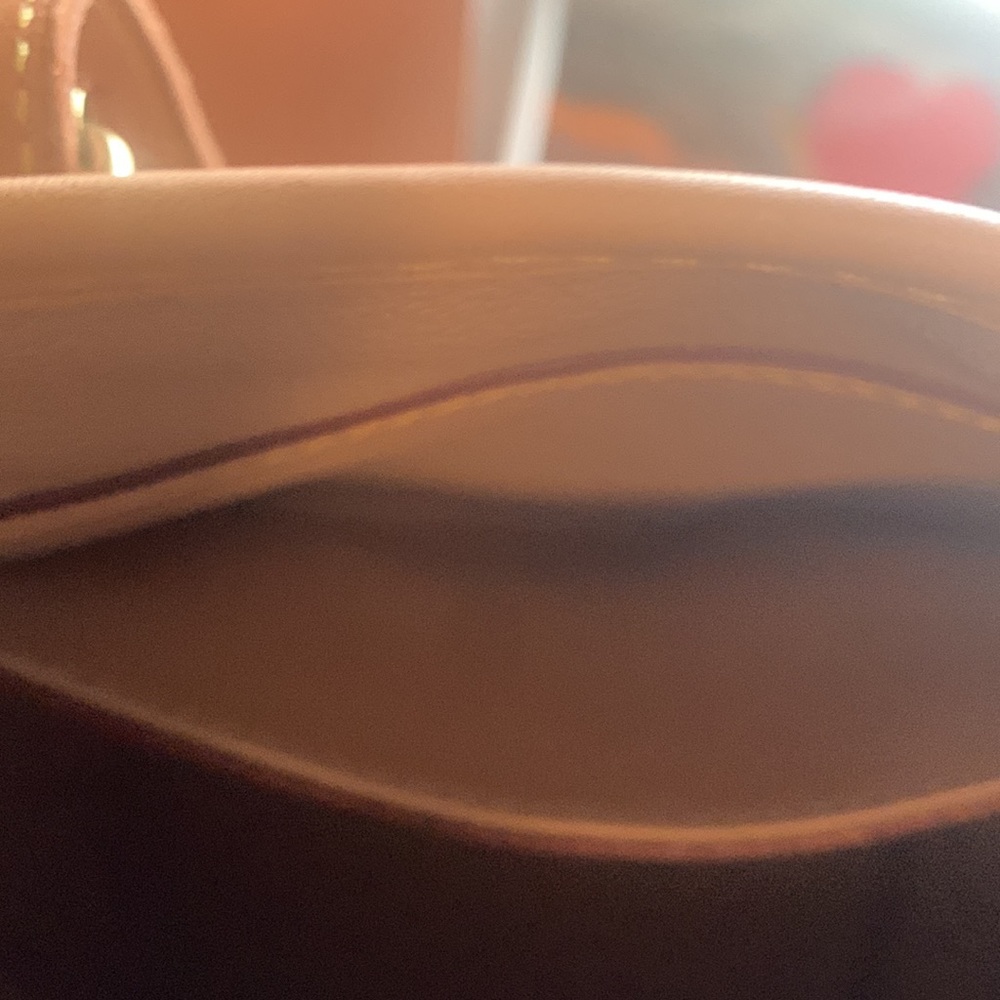 Louis Vuitton Bucket GM (pouch Not included) - Picture 8 of 9